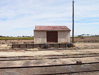 Shed farm